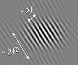 curvelet length vs width