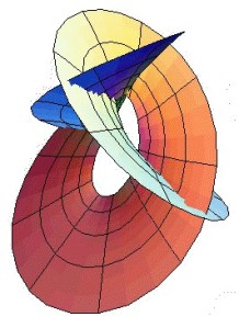 Transcendent Function Transcendental Functions – Perpetual Enigma