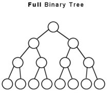 binary tree