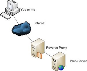 2 reverse proxy