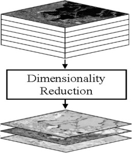 4 dimensionality reduction