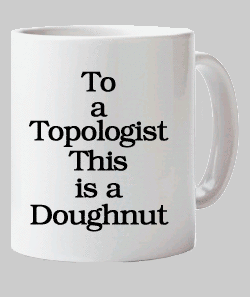 2 cup vs doughnut